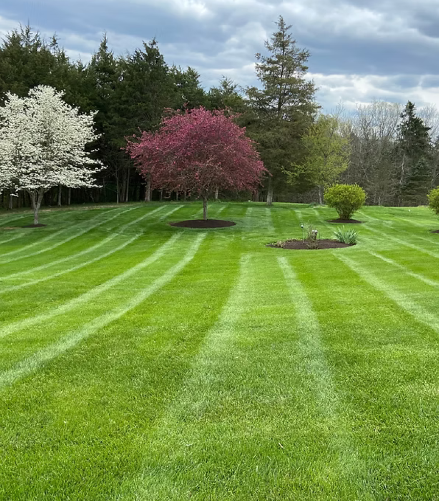 321e9c_05530453e0664e8398cd8f1671dbe9ea~mv2